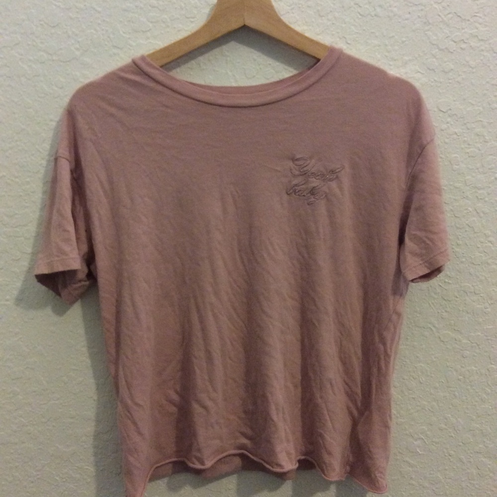 American Eagle Mauve Embroidered Top